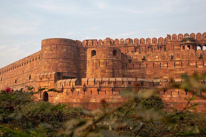 2-Day Private Tour to The Taj Mahal and Agra from Jaipur - Lunches, vegetarian needs, and what food actually means here