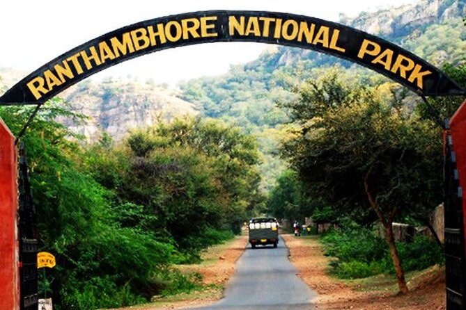 2-Days Private Ranthambhore Tiger Tour from Jaipur - Transport and Timing: Private Car for the Big Transfer, Shared Time in the Park