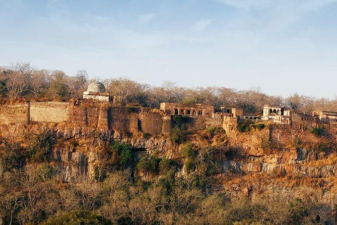 2 Days Ranthambore Tiger Safari with Tickets - Day 1 at Ranthambore Fort: a short stop with real strategic drama