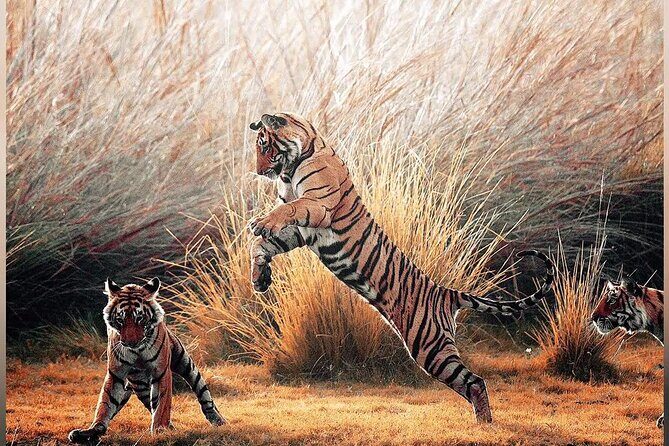 4 Days Guided Jaipur, Ranthambore Tigers & Udaipur Tour With Safari & Hotels - City Palace, Jagdish Temple, and Saheliyon-ki-Bari: classic Mewar highlights