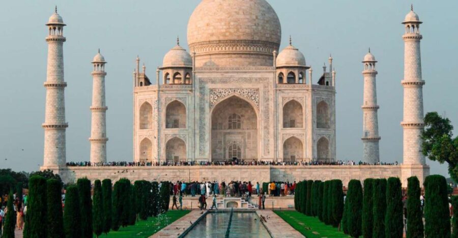 5 days Delhi Agra Jaipur private tour with Tiger safari - Private driver comfort across Delhi, Agra, and Jaipur