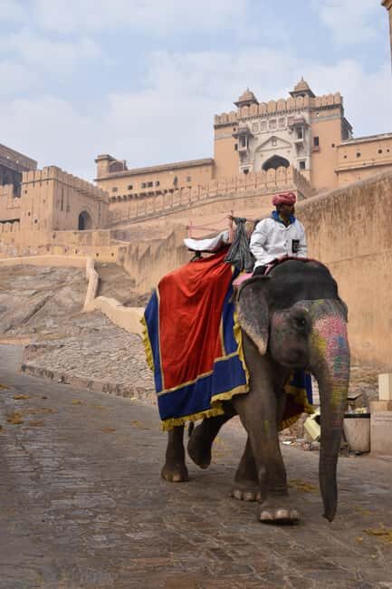 7-Day Golden Triangle Jodhpur Udaipur Tour from Delhi - Day 2 in Agra: sunrise Taj Mahal plus Agra Fort after breakfast