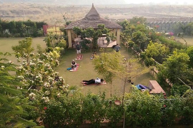 Aravali Exotic Hiking, Yoga with Breakfast - Chasing the Amber Valley sunrise: what to expect at the top
