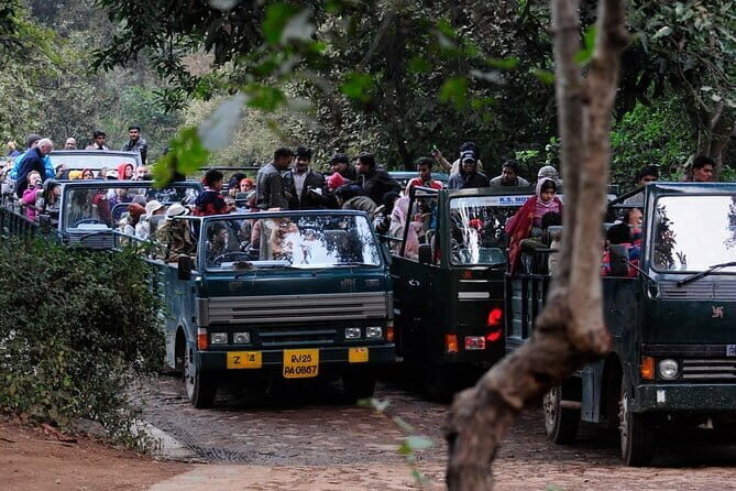 Day Trip from Jaipur to Ranthambore Safari - How the 11-hour flow actually feels (Jaipur pickup to return)