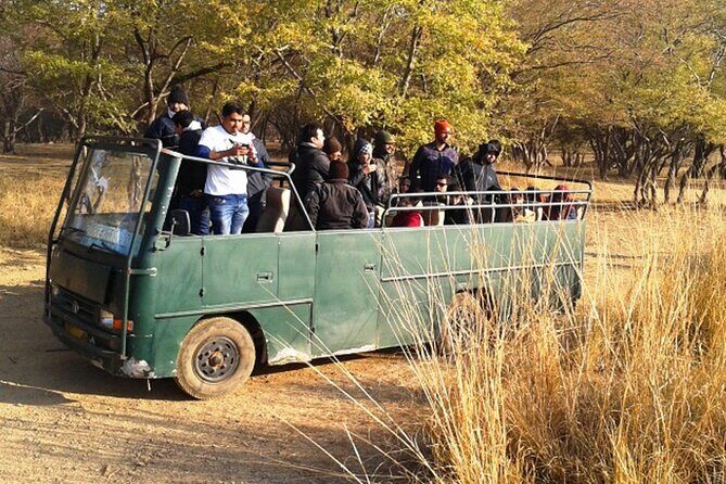Day Trip to Ranthambore Tiger Reserve from Jaipur - Price and Value: What You’re Really Paying For