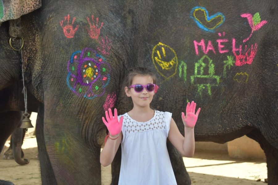 Elefun Best Elephant Sanctuary in Jaipur - Hand-feeding: learn their diet and favorite foods, then feed with care