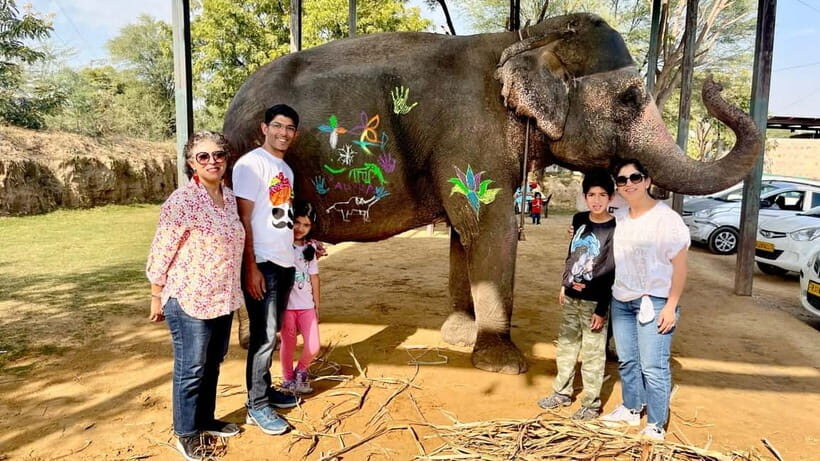 Elefun Best Elephant Sanctuary in Jaipur - Elephant washing and shower: what changes in cold months