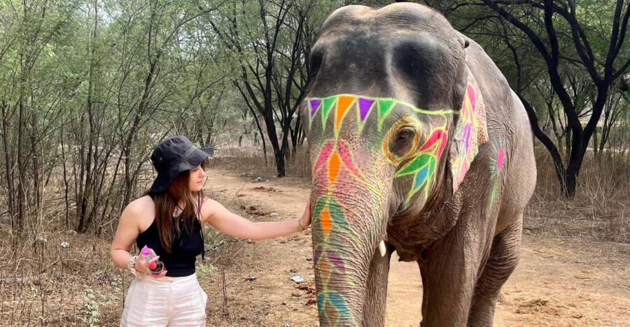 Elefun Best Elephant Sanctuary in Jaipur - Getting there from Jaipur: pickup near Hawa Mahal and hotel drop-off
