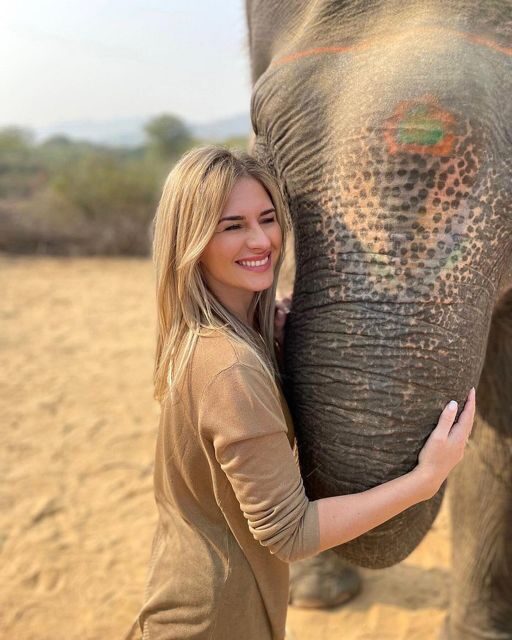 Elephant Sanctuary for Best elephant experience in Jaipur - Price and Value: Is $62 a Fair Deal in Jaipur?