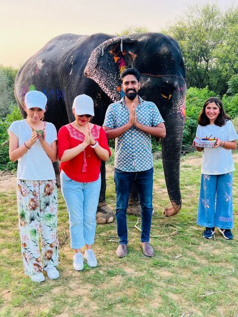 Elephant Sanctuary for Best elephant experience in Jaipur - Guides and Communication: English and Other Languages