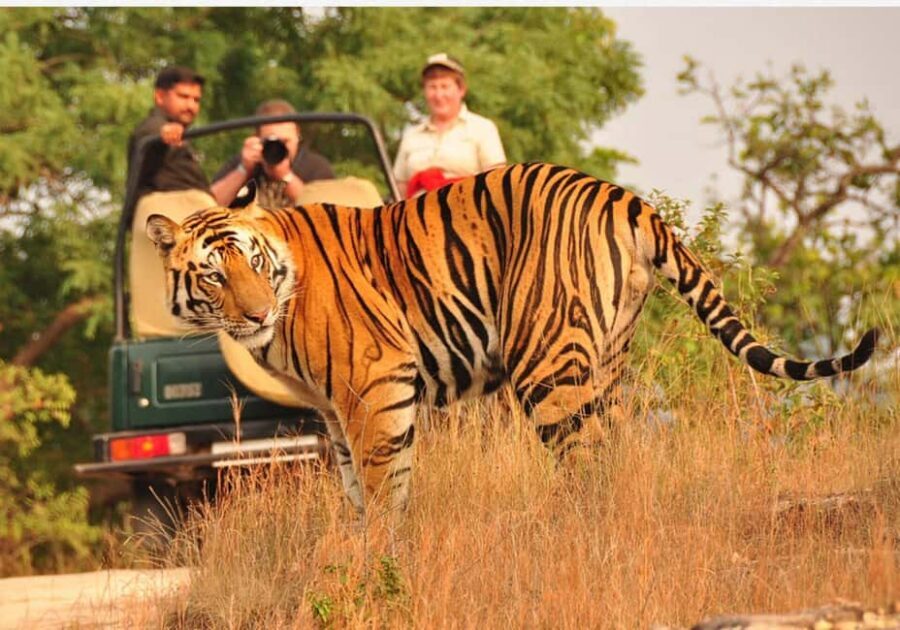 From Delhi: 6-Day Golden Triangle Tour with Ranthambore - Day 2 sunrise Taj Mahal and Agra Fort: the morning matters