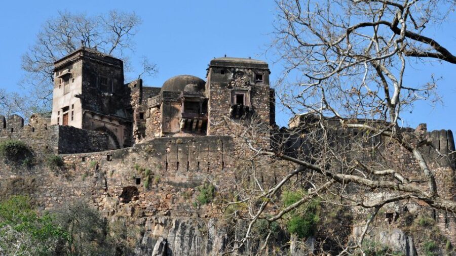 From Delhi: 6-Day Golden Triangle Tour with Ranthambore - The private-guide experience: who’s behind the scenes