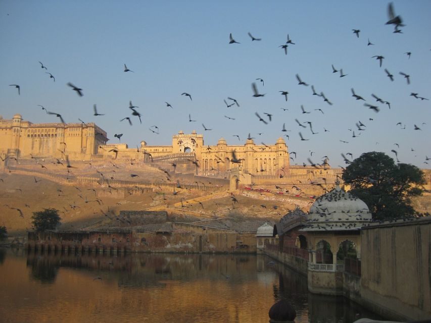From Delhi: Private Jaipur & Amber Fort Guided Tour by Car - Guide and driver quality: why the named staff matter