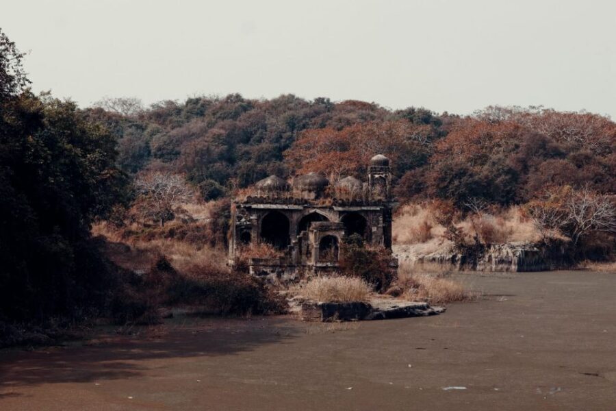 From Jaipur : 2 Days Ranthambore Tiger Safari Tour By Car - Hotel stay in Ranthambore: comfort helps you catch the next day