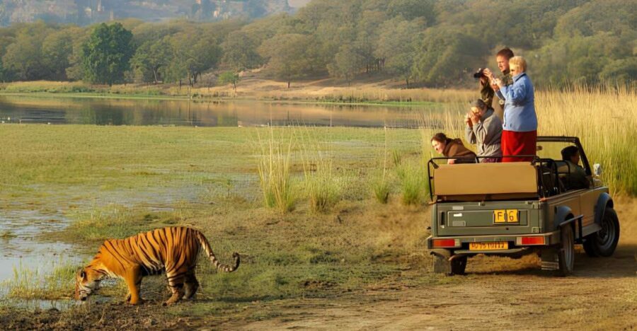 From Jaipur : 2 Days Ranthambore Tiger Safari Tour By Car - Day 1: afternoon tiger safari after you check in