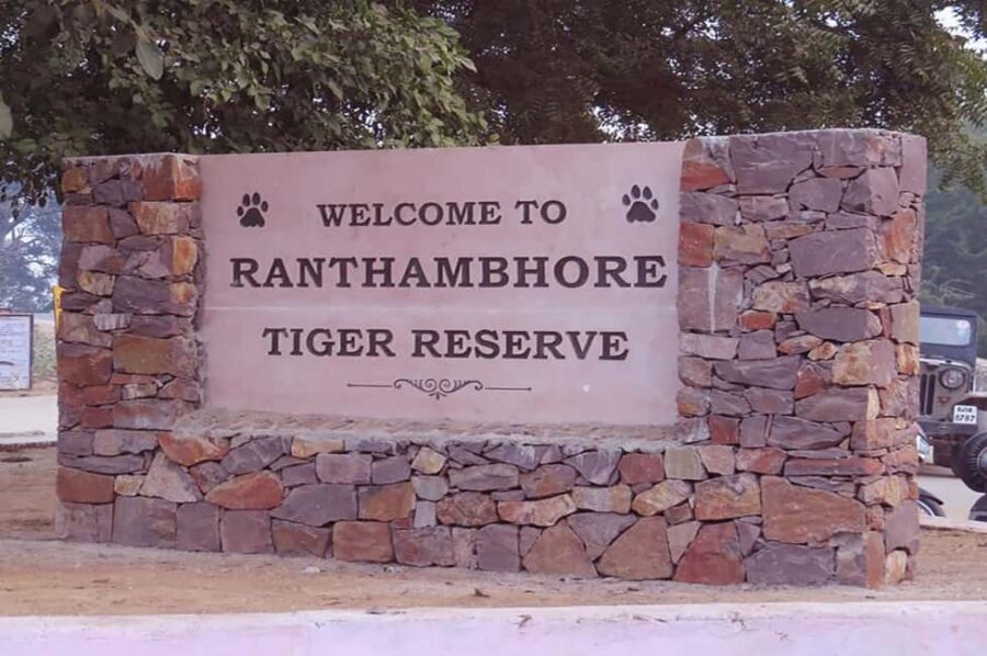 From Jaipur: Praivte Ranthambore Tour By Jeep Canter Safari - Key highlights you’ll feel on the day