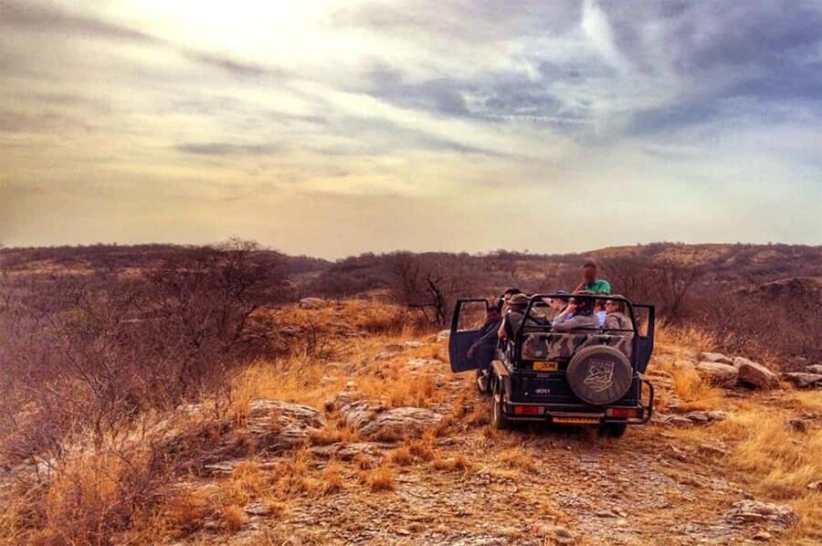 From Jaipur: Praivte Ranthambore Tour By Jeep Canter Safari - The Jaipur-to-Ranthambore Road: Comfort matters more than you think