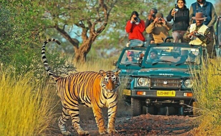 From Jaipur: Praivte Ranthambore Tour By Jeep Canter Safari - Rural Women Craft: a meaningful add-on before or after the safari