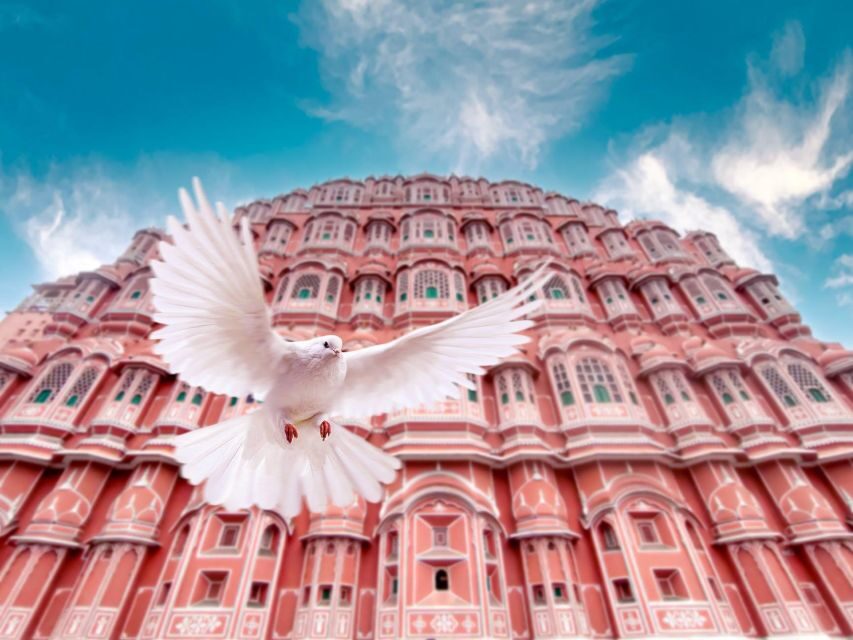 From Jaipur: Private Amber Fort, Jal Mahal and More Car Tour - Step well time: when Jaipur slows down and geometry takes over
