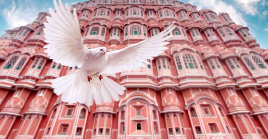 From Jaipur: Private Amber Fort, Jal Mahal and More Car Tour - Jal Mahal: the submerged palace view that makes people stop talking