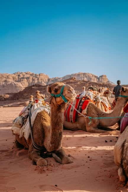 From Jaipur: Pushkar and Ajmer Private Day Trip - Pushkar First: Ana Sagar Lake Views and Old-Town Walking