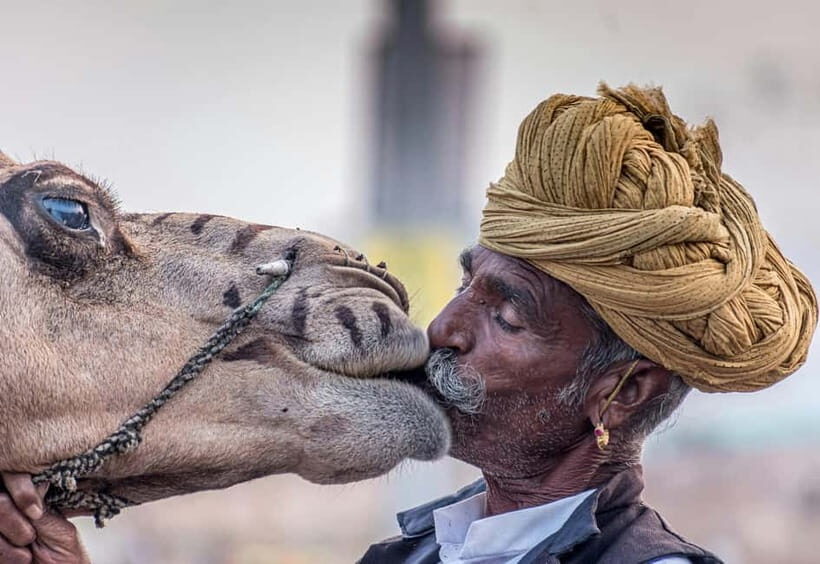 From Jaipur: Pushkar and Ajmer Private Day Trip - The Route: Leaving Jaipur and Getting Back Without Losing the Day