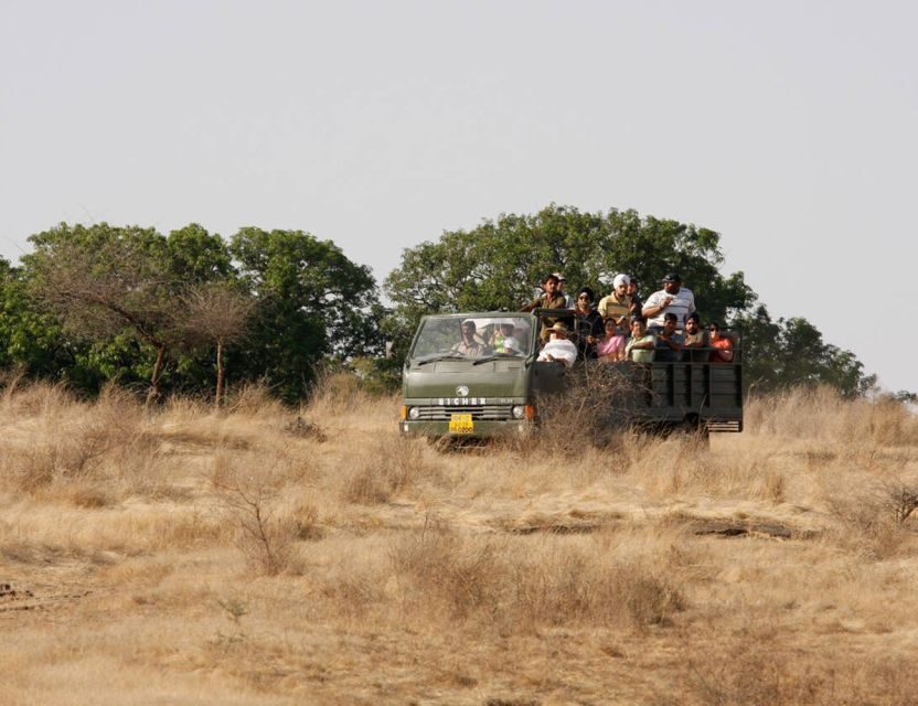 From Jaipur: Ranthambore Tour with Cab - The short stop in Sawai Madhopur: when coffee time matters