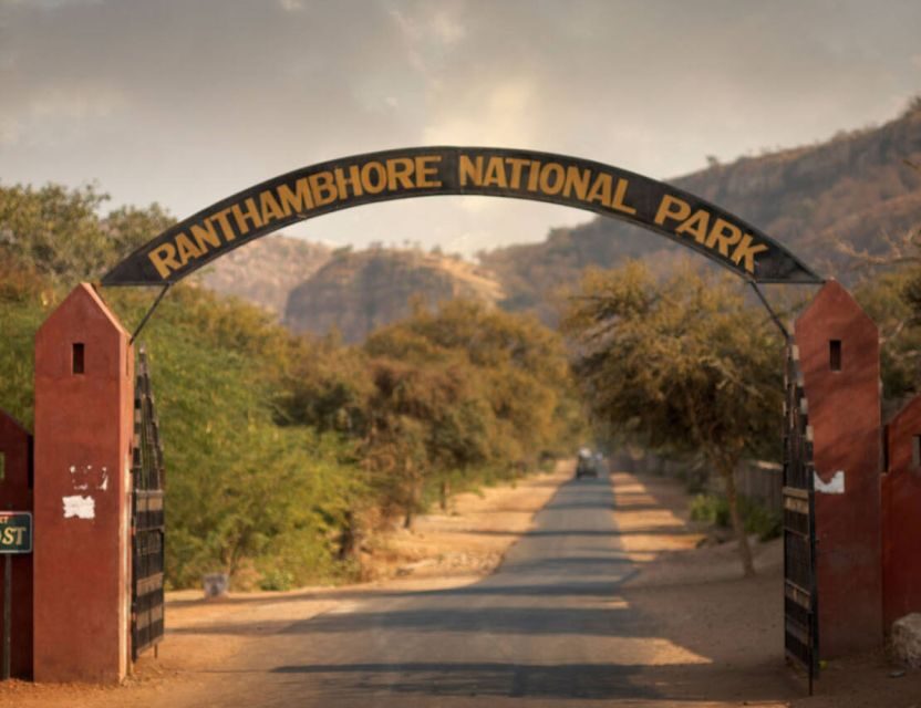 From Jaipur: Ranthambore Tour with Cab - Naturalist guidance: how you get more than a photo hunt