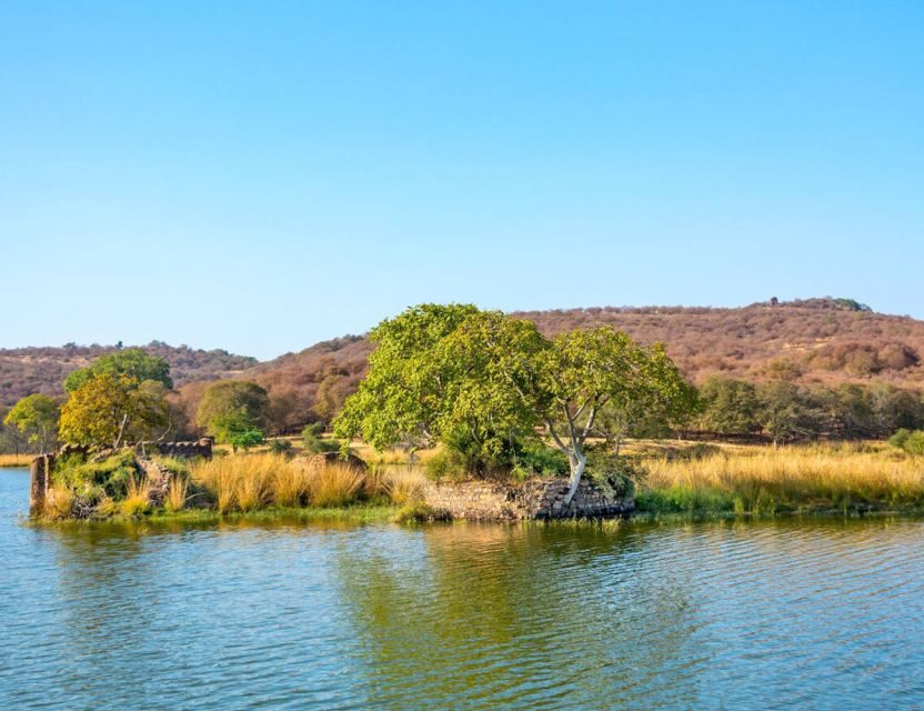 From Jaipur: Ranthambore Tour with Cab - Who this tour suits best (and who should rethink it)