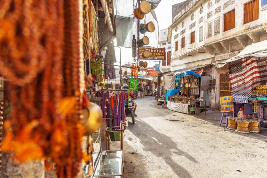 From Jaipur: Same Day Pushkar Self-Guided Day Trip - Camel Ride and Desert Views: Thar Desert Meets the Practical Day Trip