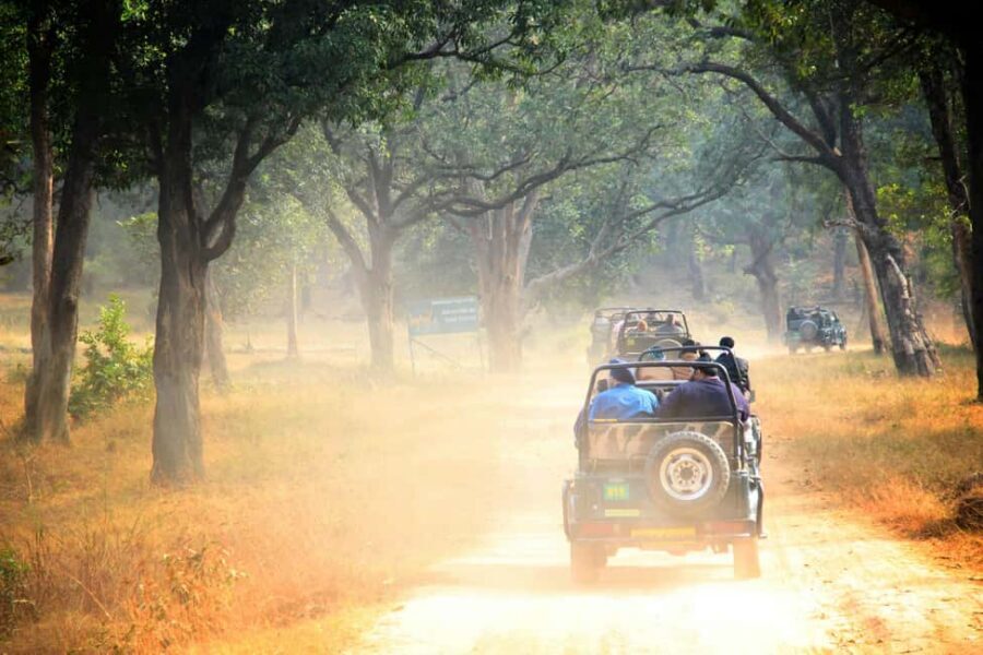 From Jaipur: Sariska National Park Day trip with Safari - Practical checklist for a calmer, better safari