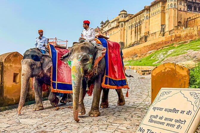 Full-Day Jaipur Highlights with Local Guide & Private Vehicle - Jal Mahal: The Water Palace Moment on Man Sagar Lake