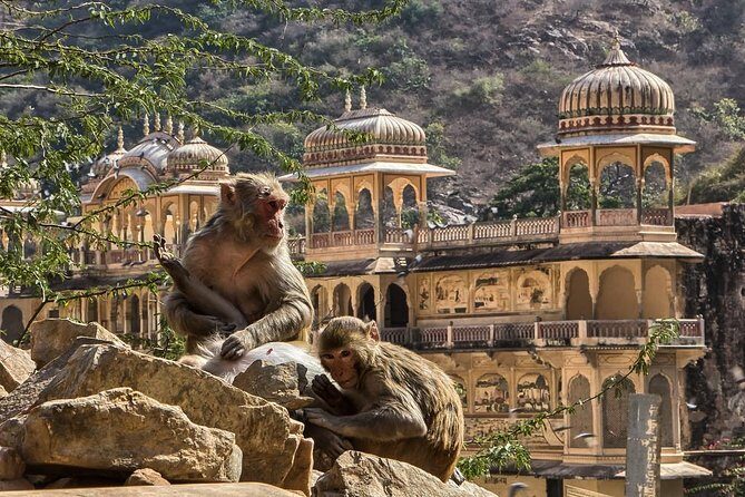 Full-Day Private City Tour of Jaipur - Hotel Pickup, AC Cab, and the Real Meaning of Saving Time