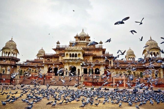 Full-Day Private Tour Heritage of Jaipur with Amber Fort - Amber Fort (Amer Fort): your best first move in Jaipur
