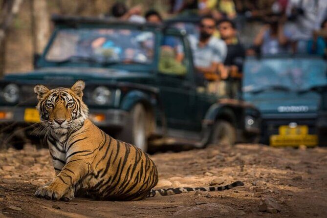 Golden Triangle & Ranthambore: 4-Day Private Tour from Delhi - Key things I’d circle before you book