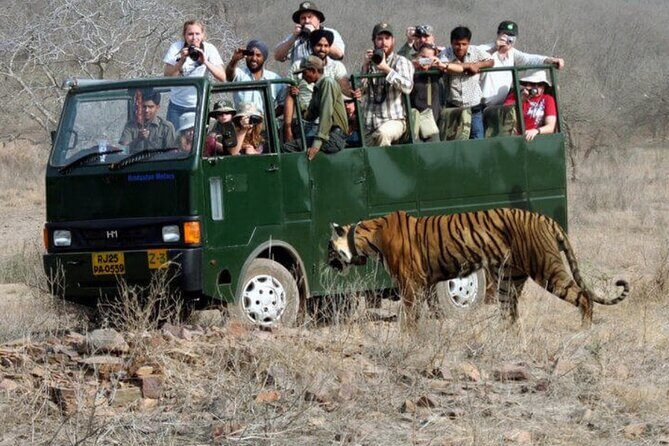 Golden Triangle & Ranthambore: 4-Day Private Tour from Delhi - When the itinerary order shifts by starting day