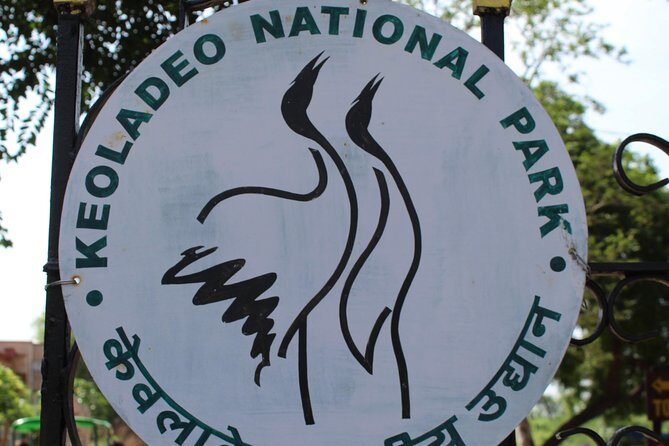 Guided Keoladeo Bird National Park Tour in Bharatpur from Jaipur - Keoladeo from Jaipur: the bird sanctuary day that’s actually practical