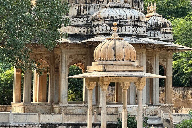 Highlight Tour of Jaipur with Private Guide - Jal Mahal on Man Sagar Lake: Quick Water-Palace Views Without the Long Wait