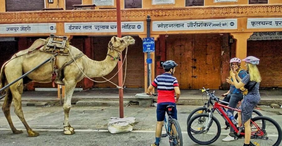 Jaipur: 3-Hour Morning Bike Tour of Jaipur Old City - Chaiwala stop and local food tasting style