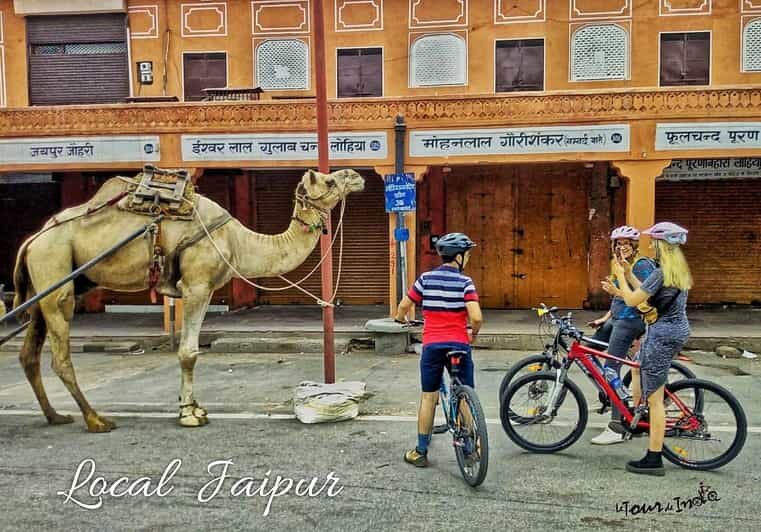 Jaipur: 3-Hour Morning Bike Tour of Jaipur Old City - Meeting point: Le Tour De India and an easy start