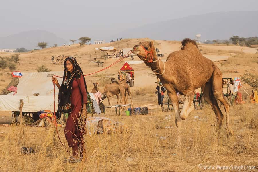 Jaipur: Ajmer & Pushkar Day Trip with Lunch & Camel ride - 8:00 AM pickup and the Aravalli drive toward Ajmer