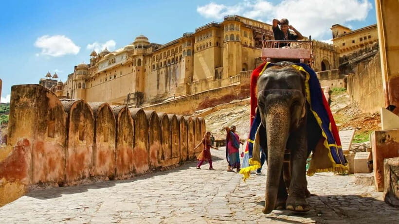 Jaipur: Amber Fort, Stepwell & Jal Mahal with Pickup - Key Points You Should Know Before You Go