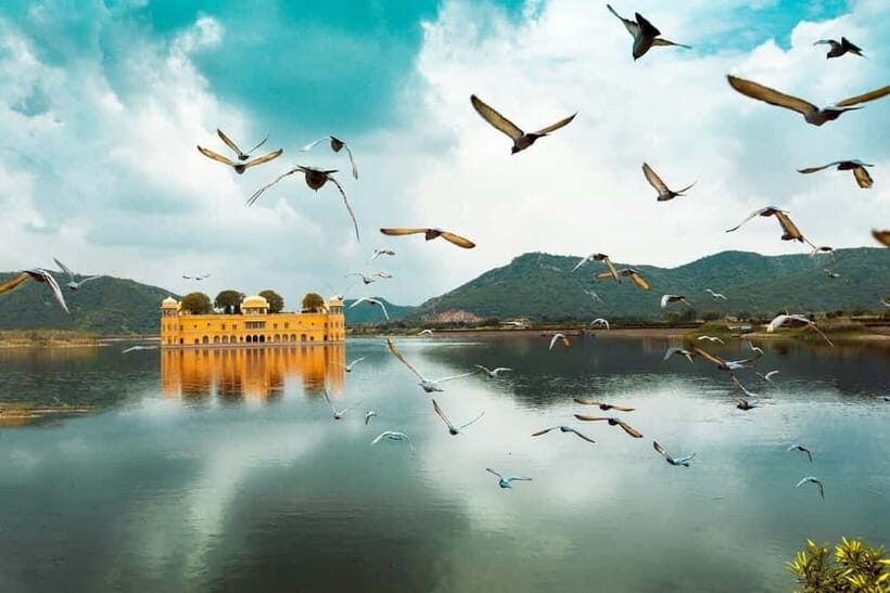 Jaipur: Amber Fort, Stepwell & Jal Mahal with Pickup - A 5-Hour Royal Circuit: Amber Fort, Stepwell, and Jal Mahal