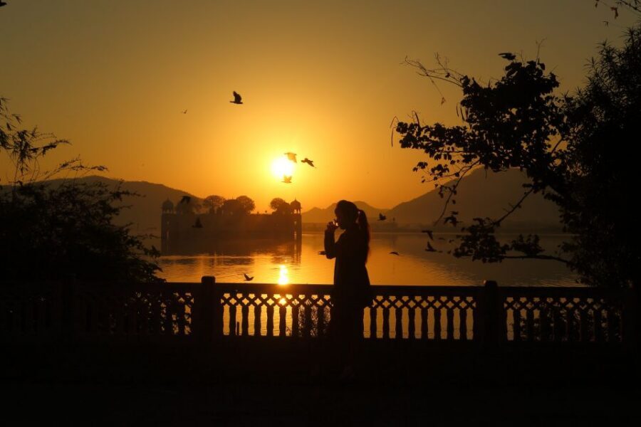 Jaipur Amer Fort, Jal Mahal & Stepwell Private Half-Day Tour - Optional Lunch, Plus the Real Cost of the Day