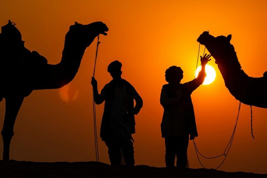 Jaipur: City Tour Full-Day Sightseeing with Guide - Jal Mahal: A Lake-Side Pause That Changes the Mood