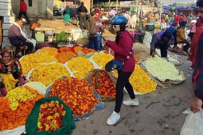 Jaipur Cultural Cycling Tour - The ride start at Fateh Tibba: from royal parade grounds to suburb streets
