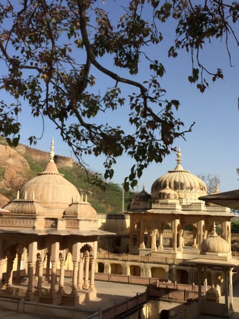 Jaipur : Cultural & History Tour With Private Guide - Gaitor cenotaphs: carved royal memorials and a calmer moment