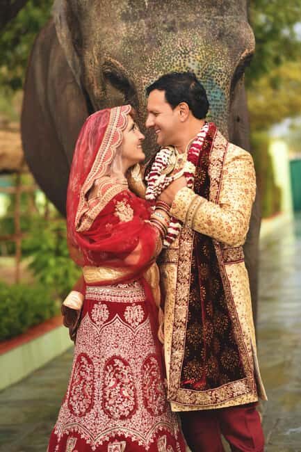 Jaipur: Elefantastic Elephant Sanctuary Tour - Why Elefantastic in Jaipur feels different from typical elephant tourism