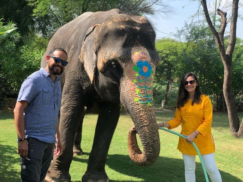 Jaipur: Elephant Interaction Tour - Quick take: what makes this tour special