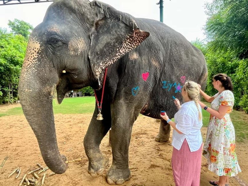 Jaipur: Elephant Interaction Tour - How long is 4 hours, really?